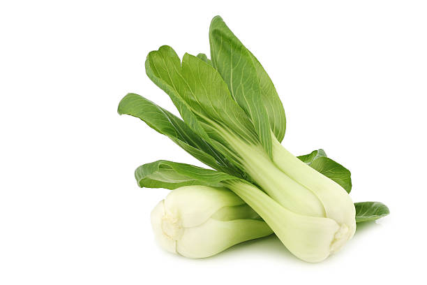 Chinese Cabbage Bok Choy